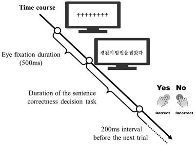 Syntactic structures in motion: investigating word order variations in verb-final (Korean) and verb-initial (Tongan) languages